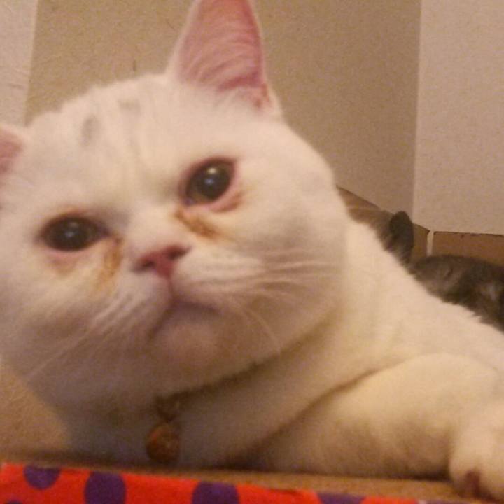 417b2df4 99a8 4014 84b5 088338bb757f 1508248763929