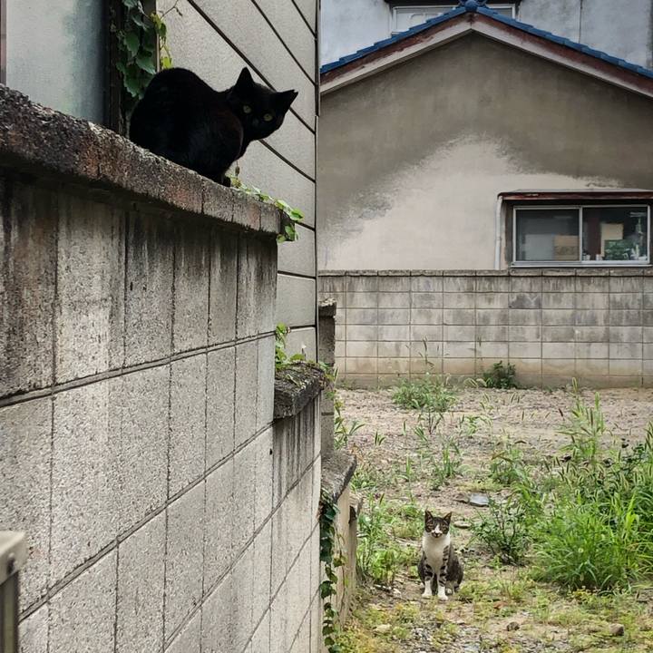 417b2ec6 9faf 4881 91eb 6c500ca50fb2 1626241275748