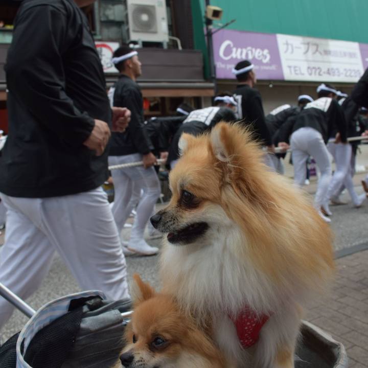 417b3470 284e 456f b203 3d98179c8347 1537086572541