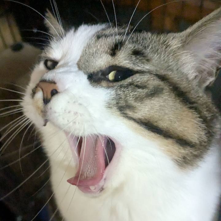 417b9b62 f750 41ed bdbe 8d691676291e 1765636817036