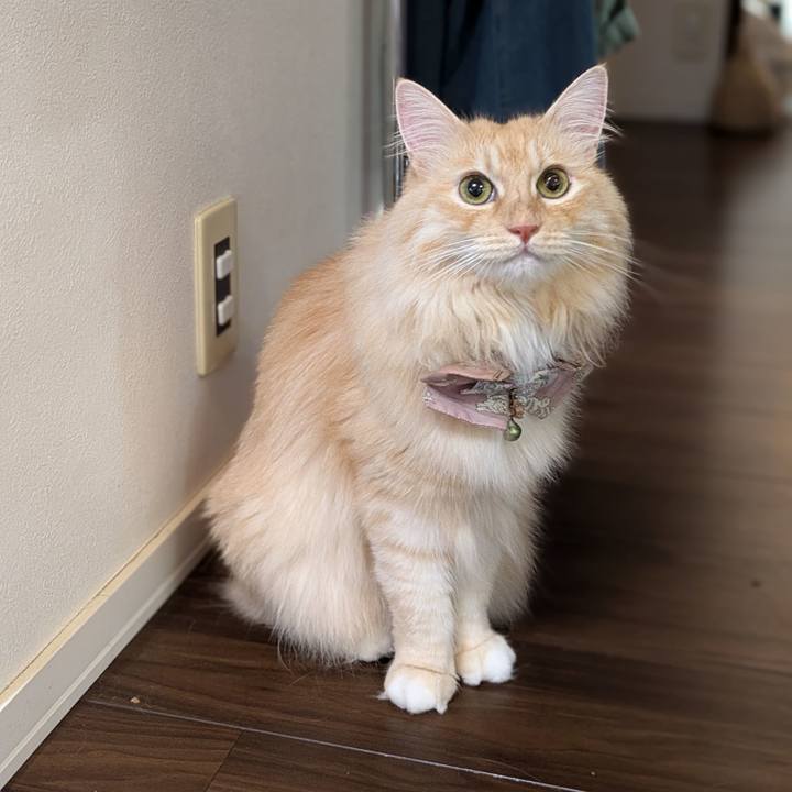 417b9d85 ffb3 4e62 a620 996b8ff2dfb5 1726177341707