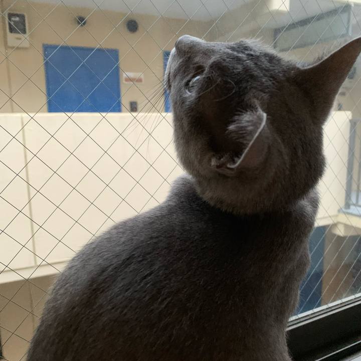 417ba7fa 9797 424e 9f7f 84e751f40677 1577311090193