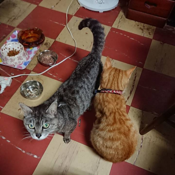 417bdb8d e9e3 4ebc 9aef c6975b9e4ef0 1561243068673