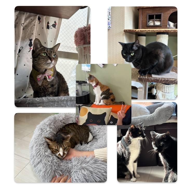 417c0650 c6b3 48e5 85ef 12c50382ff39 1742472073534