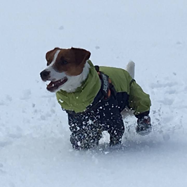 417c3de8 9021 4d32 a6e1 2babadfff1c9 1517662355852