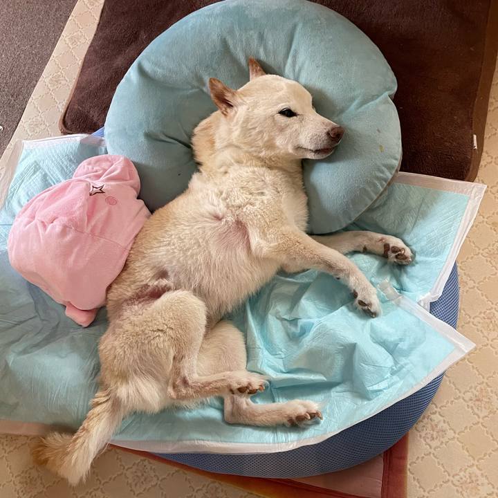 417c6452 deac 40a8 bac5 bbc3afed13da 1667968218825