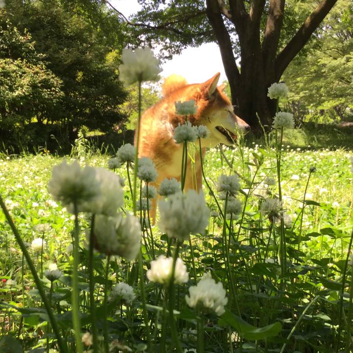 417c7364 b043 470a b7c7 840ff03caacf 1620617469295