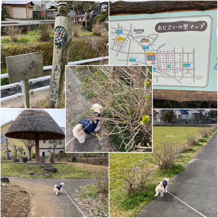 417cb55f 1857 4b1c a6cd 85ee096bf330 1583564067245