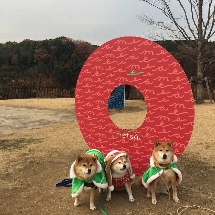 417cda3a 8d88 411b 832c 7e1d712615ec 1639657022808