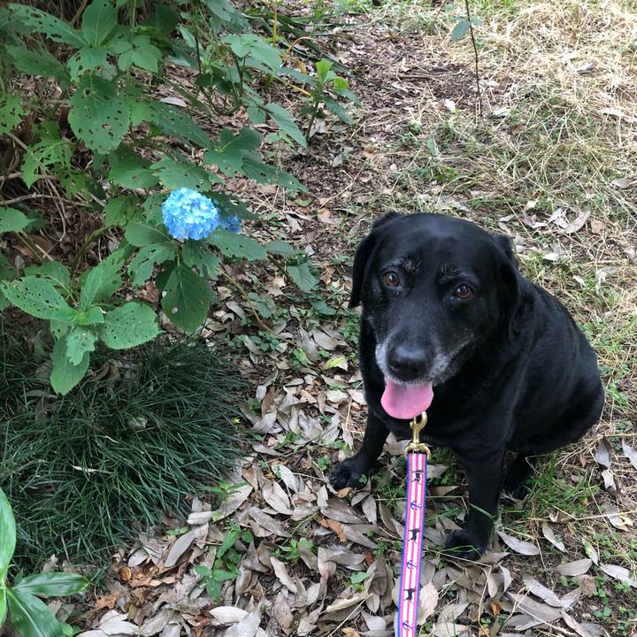 417ce5f7 7088 4af3 a87c 0fa2b7abd76b 1559698766558