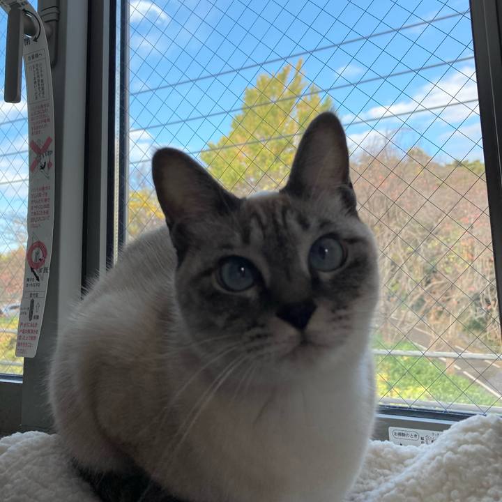 417cf8d1 646b 4d48 ad85 64ffe51dd376 1606612755776