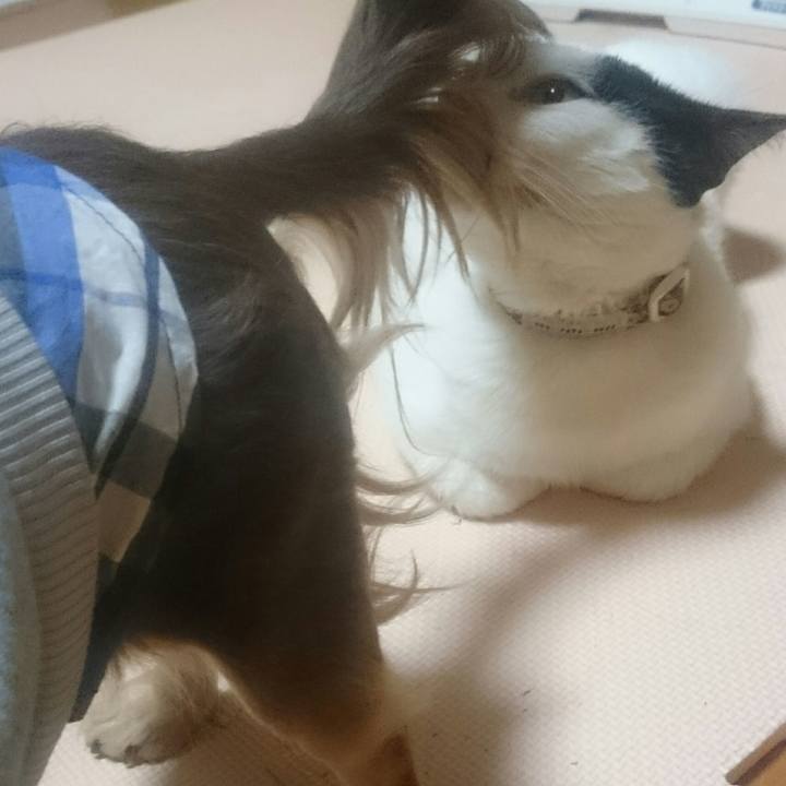 417d07e8 0801 4267 8409 48b320ba0fba 1518783683277