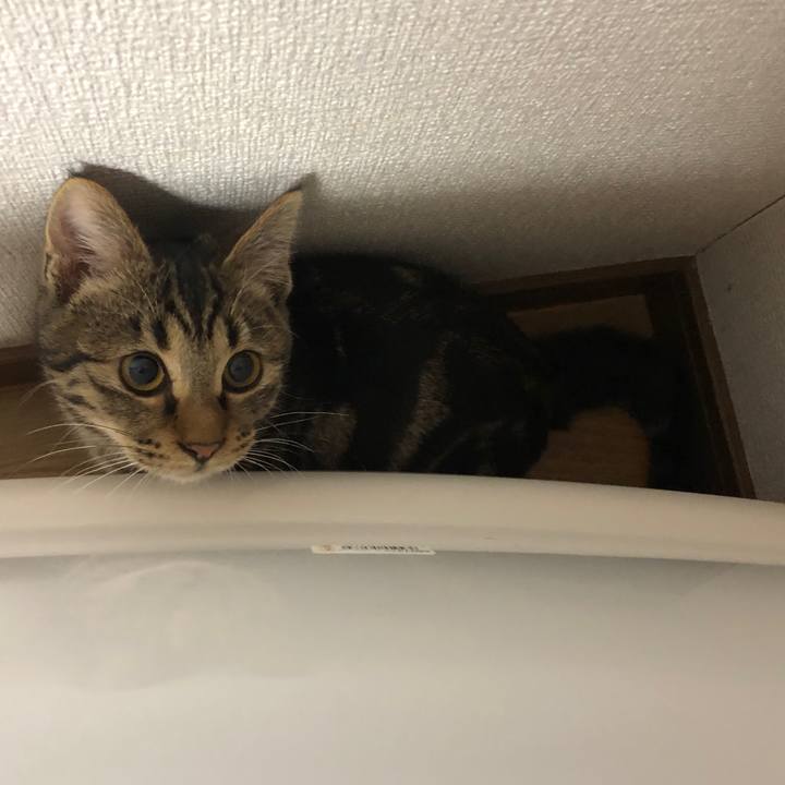 417d614b 2d79 417c 9484 87f1b6c20c63 1735855859001