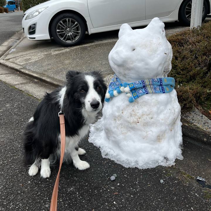 417d8118 070b 4833 8ec6 11594119c690 1767561048291