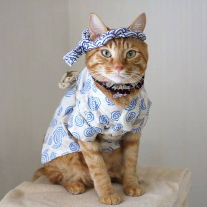 417d953e 871f 482b b294 cc89719bf7fc 1720621568840