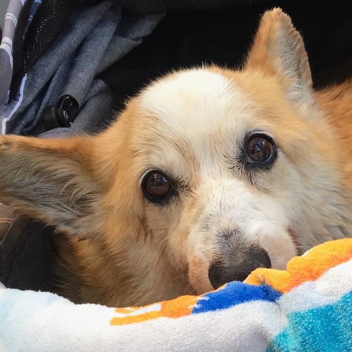 417d9b61 a03a 4ab1 96a4 4aedda4087ca 1560937288359