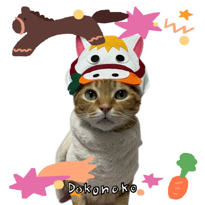 417db08b c9e1 41cf a4ca 7bad28f9db5e 1771887230868