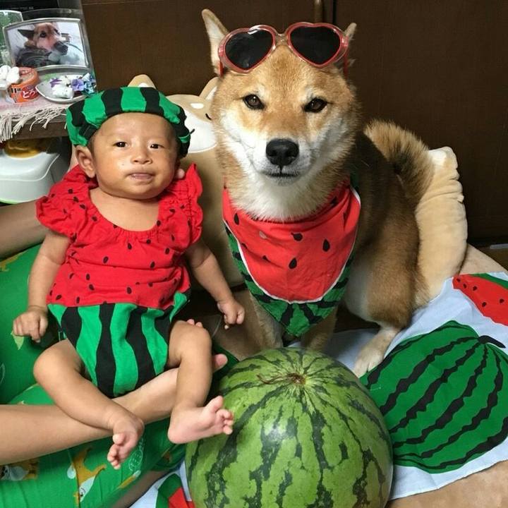 417db7e0 eb37 4e43 9de2 7395dd1e02fc 1534313647564