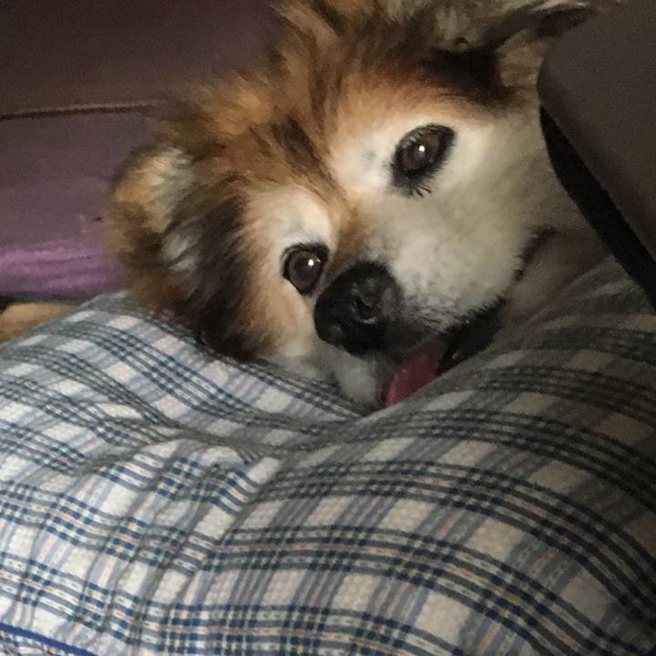 417dd9d2 517a 408b bbf2 bf2245e1440e 1574113148939