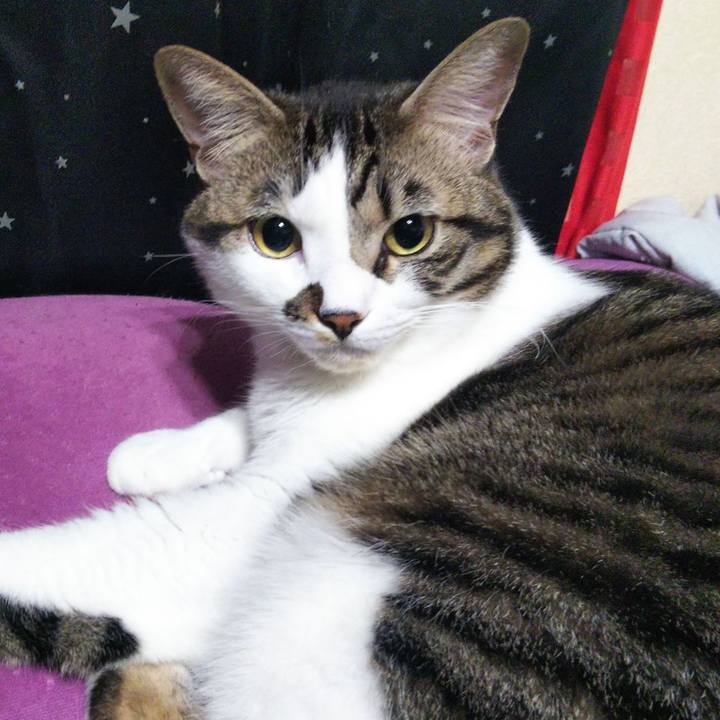 417deb99 959e 4efe bb0f 69a1a6dccbf2 1637065432713