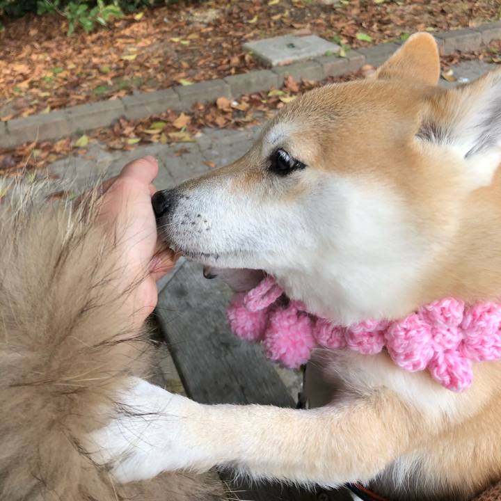 417dec06 1315 497a 8985 a2c9e822bcb2 1578981443832