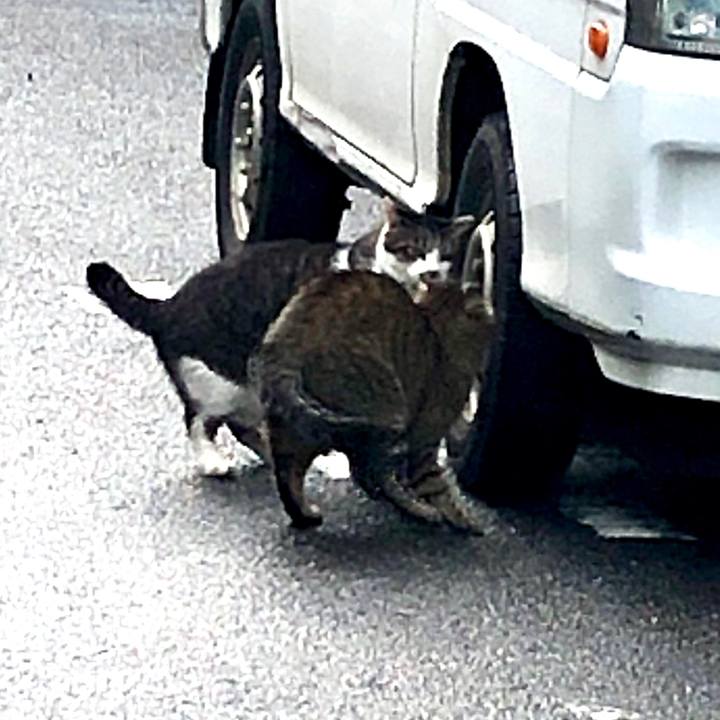 417e02b7 74b6 433e b1e8 ac7c3b507a89 1592919145304