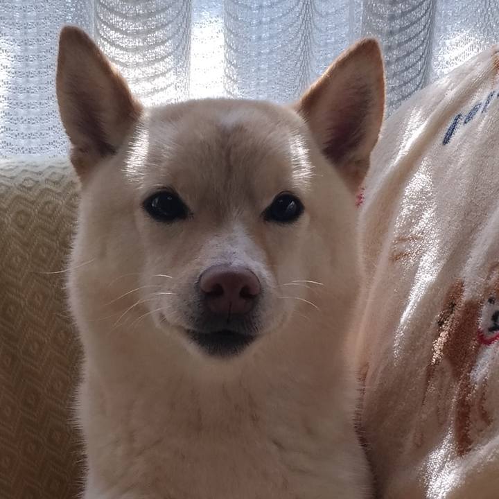 417e046a 1a98 459b 8c36 5712ffce333c 1552790556777