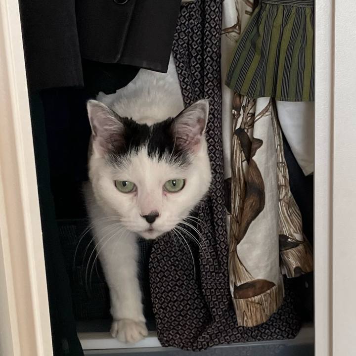 417e1c1b 77da 461a b350 12a5f0c40e2b 1673239398391