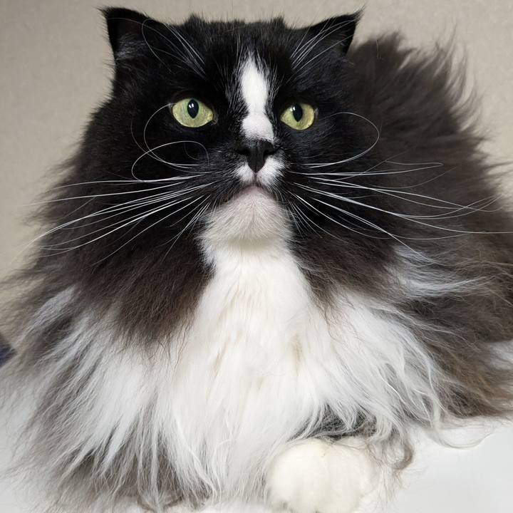 417e3071 abcc 4aa6 b217 b2656fa46da8 1733645872774