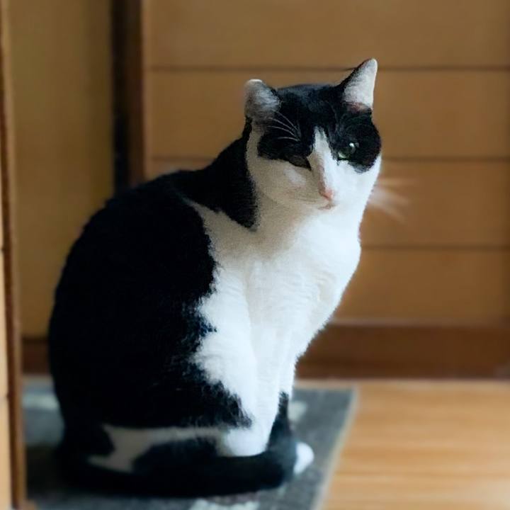 417e453e f0a2 44af 95d6 21045788d639 1581815664011