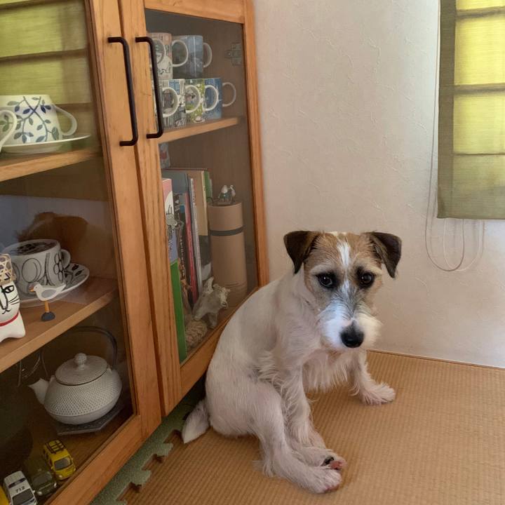 417e4a9e 5359 4215 9bca 432dbdb3428d 1598419922297