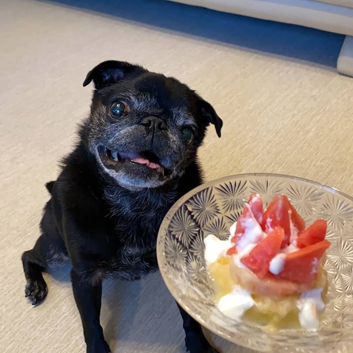 417e6fb5 9bc9 4a69 8106 f83abd36e7f2 1599904608225