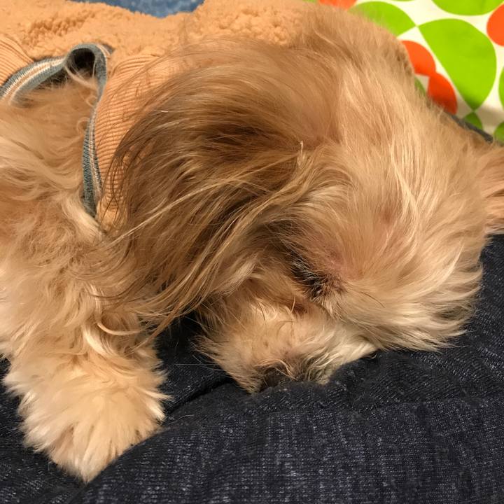 417ea0ca b67b 47f4 95aa ecd94f5a7261 1521449125331