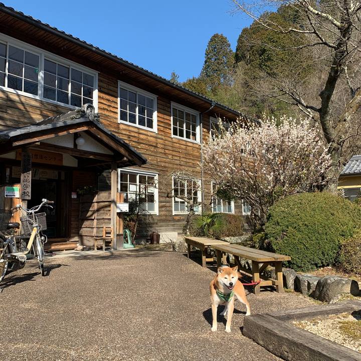 417ea16c a963 4fa9 83d3 319000a3a21e 1584004048112