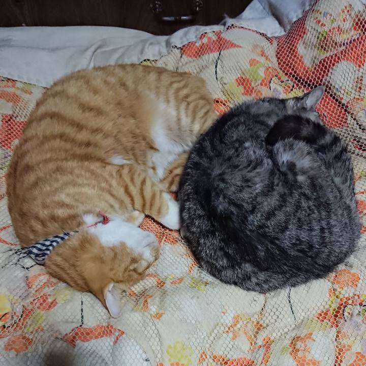 417eb672 156a 4735 9c1a 70a8266d5aeb 1572699292170