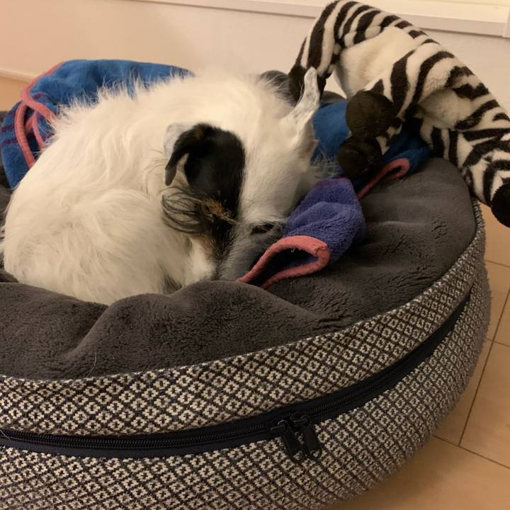 417ed1e3 1a81 4f15 bc3c e68f8c9894d9 1677157761236