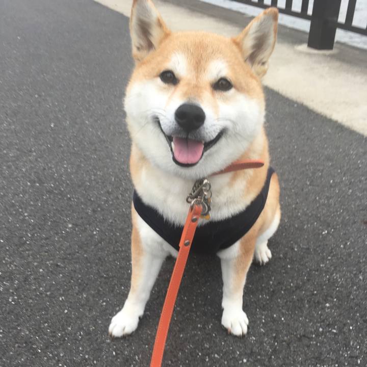 417ed23e 782b 4fb4 bf99 1d2f2de7297a 1562669941807