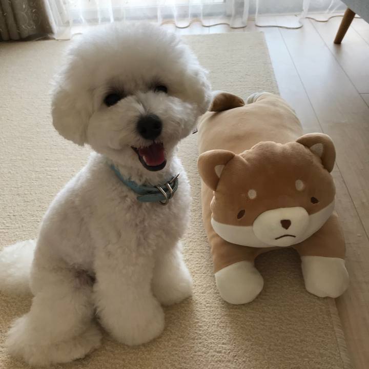 417ed918 8ab9 42a3 9b15 e918a2431293 1531985956056