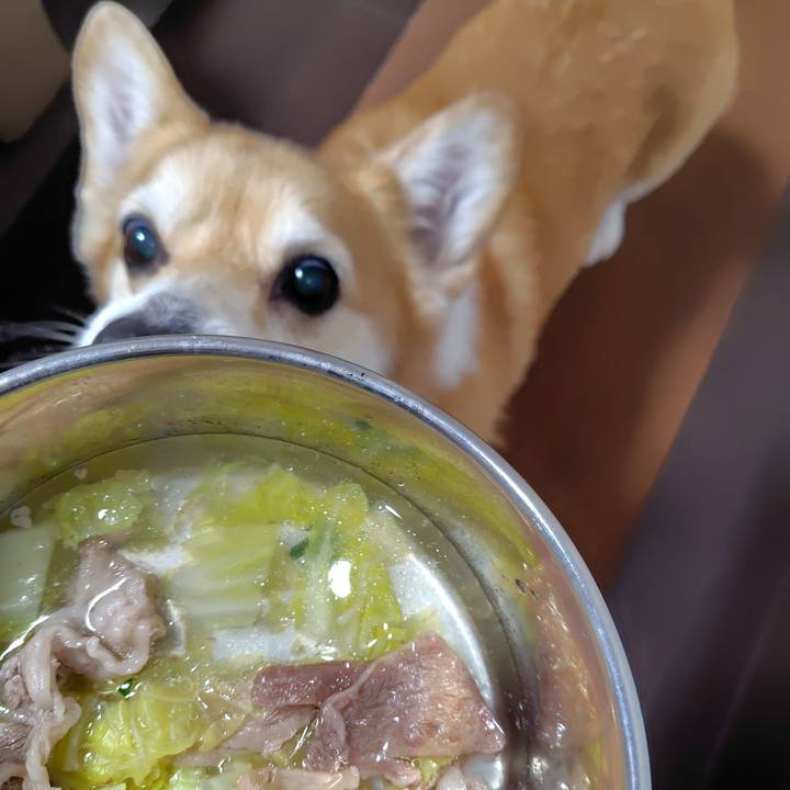 417edb38 9b61 4338 9da5 b6185b17f887 1767188292840