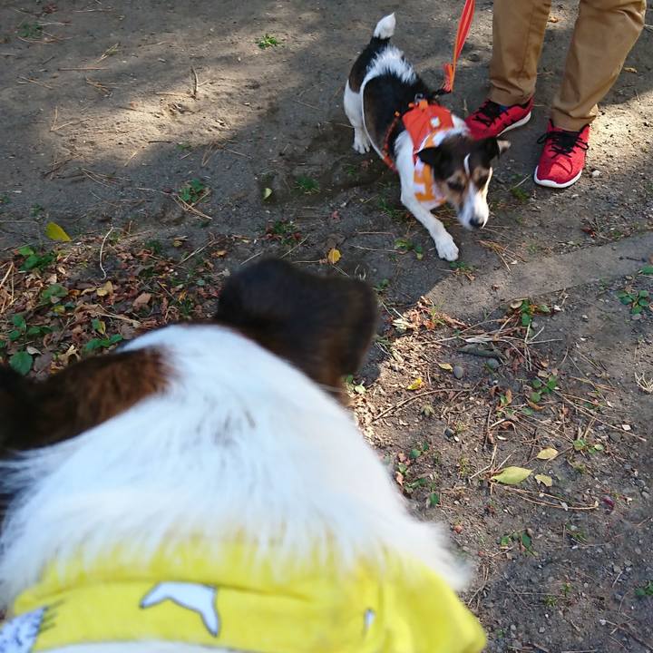 417f214f a995 4358 bd1c 9e4463106a15 1606545890463