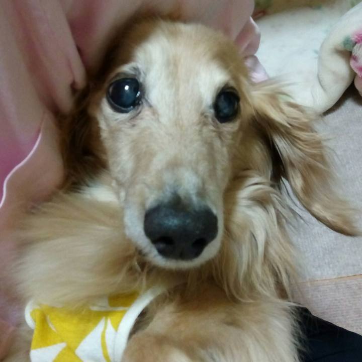 417f2add 664e 46df b2c4 815b3fece68e 1558876334740