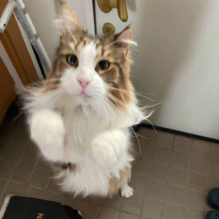 417fbd84 eb96 4d26 8c85 15704ce4b399 1686521747403