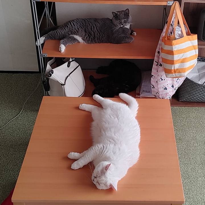 417fc093 0baa 4365 87d6 771229d357ed 1630102373387