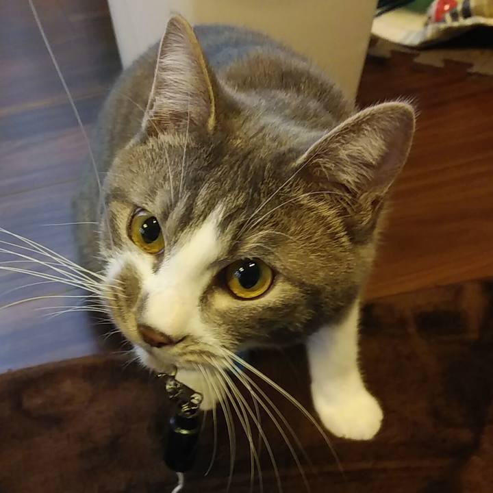 417fe0dc b464 441f 8458 6aaf3f1930b9 1580193383826