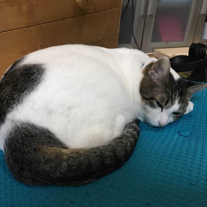 41801df5 4b4a 4658 a598 c74f08033690 1545646509816