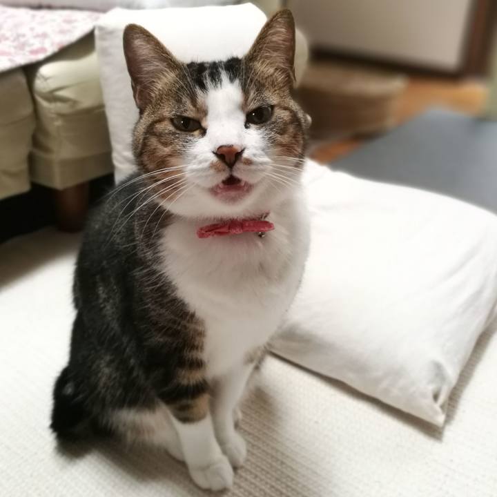 41807ab3 8ae7 40c1 a563 0cbd8b98e509 1525912544074