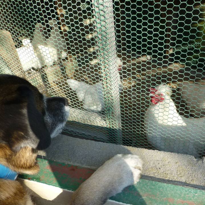 4180950d 29ec 4c2f 9d8c d13a86d158e3 1581125208835