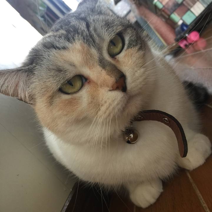 41809d48 3658 45ef aa7f 3ee850199285 1555734644765