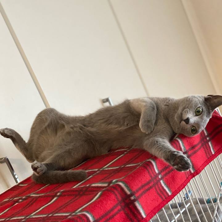 4180c5fe 3fdd 490c 9991 df2d761ed1cb 1630047406545