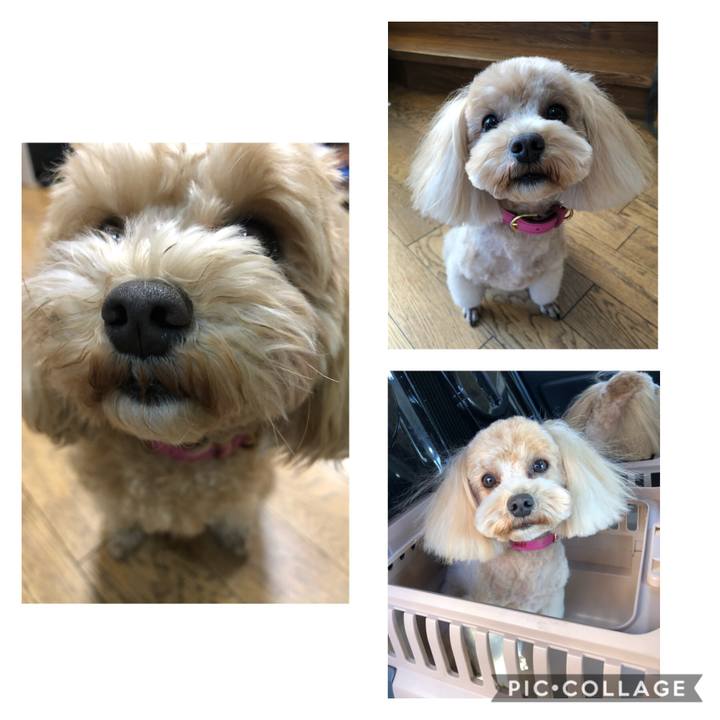 4180cb15 53ec 4e36 8b78 1fca7634ea9f 1606537165566